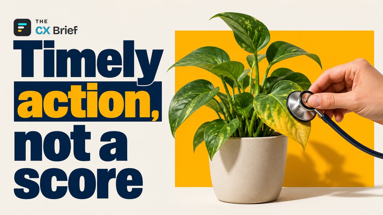 Timely action, not a score — What is a customer health score, and how do you build one? A hand listens with a stethoscope to a potted plant with an outer leaf that has begun to yellow.