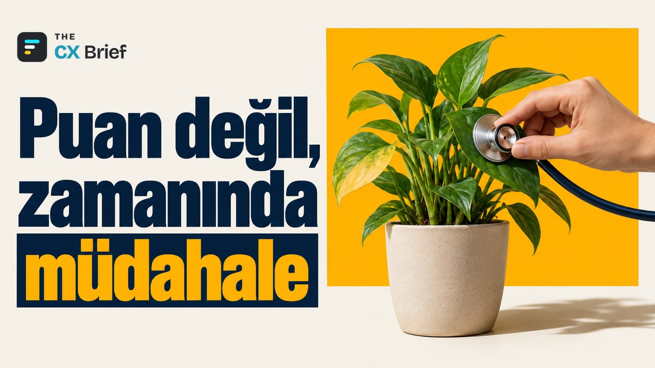 Puan değil, zamanında müdahale — Müşteri sağlığı skoru nedir, nasıl kurulur? Bir el, kenarındaki yaprağı sararmaya başlamış saksı bitkisini stetoskopla dinliyor.