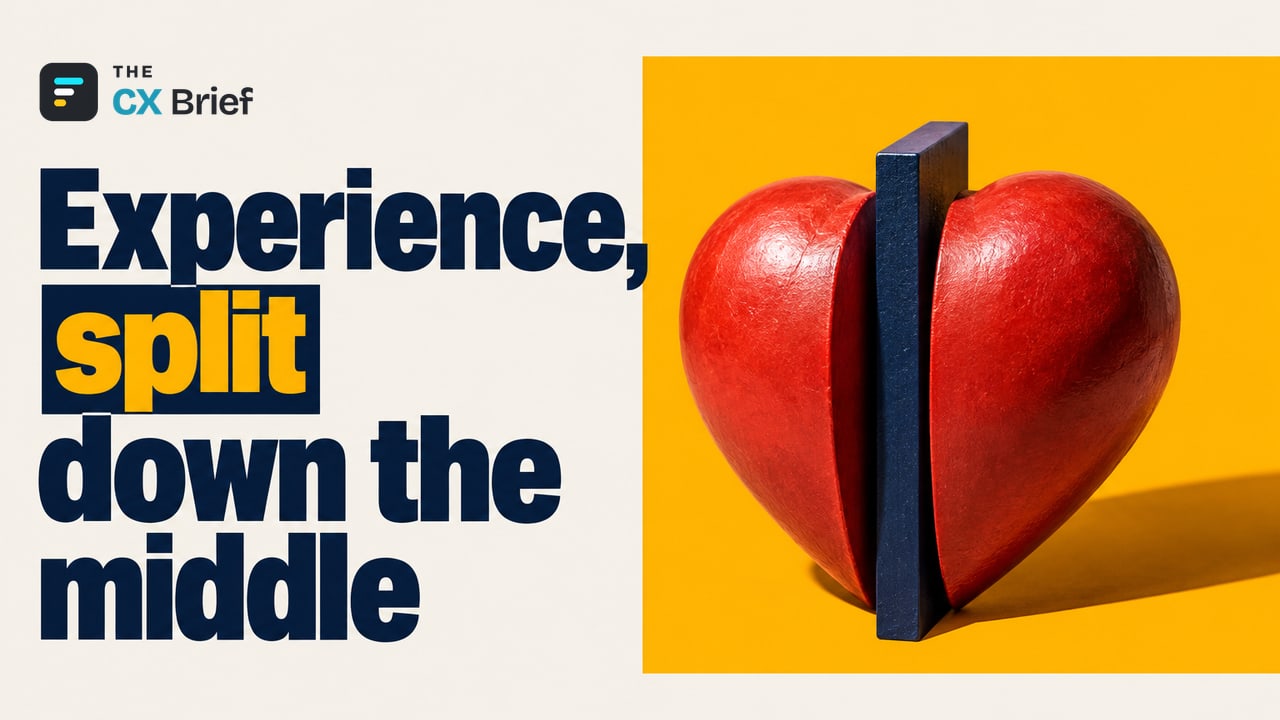 Experience, split down the middle — Why Do Employees and Customers Speak Different Languages? An Analysis of the Ipsos 2026 Report. A rigid slab wedged between the two complementary halves of a single heart keeps them apart.